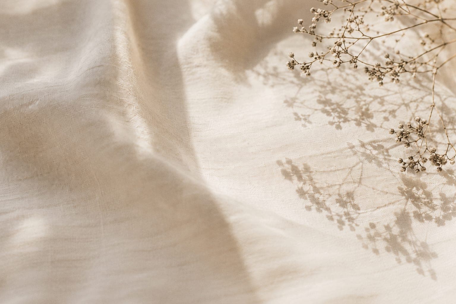 Dried gypsophila casting soft shadows on cream linen