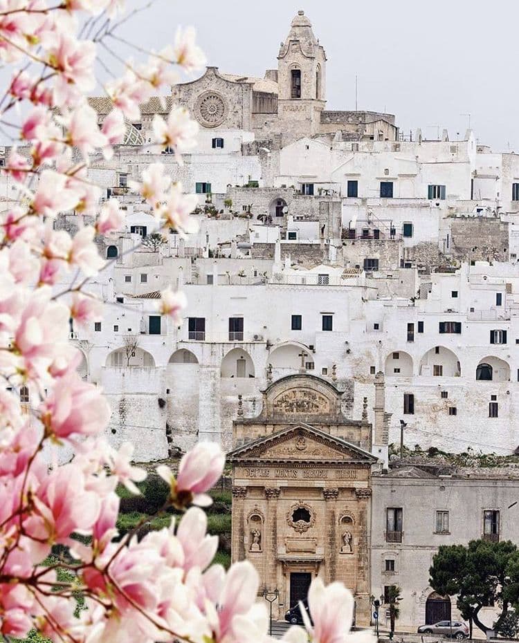 Check-in — Masseria Don Luigi